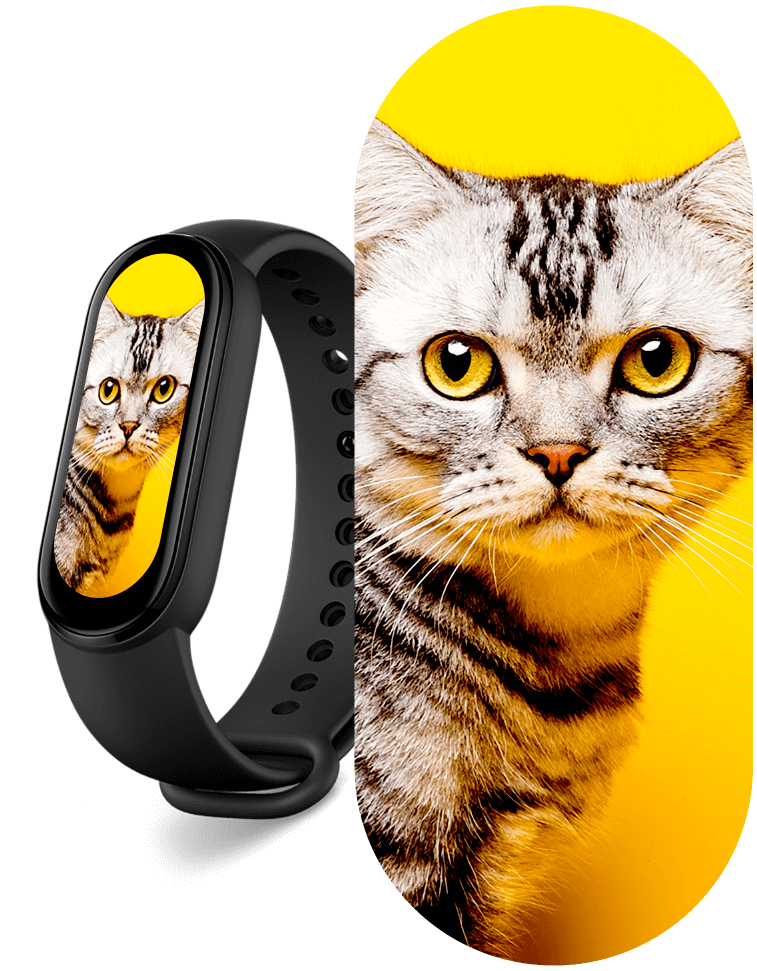 326ppi AMOLED display The cat’s whiskers are clearly visible: